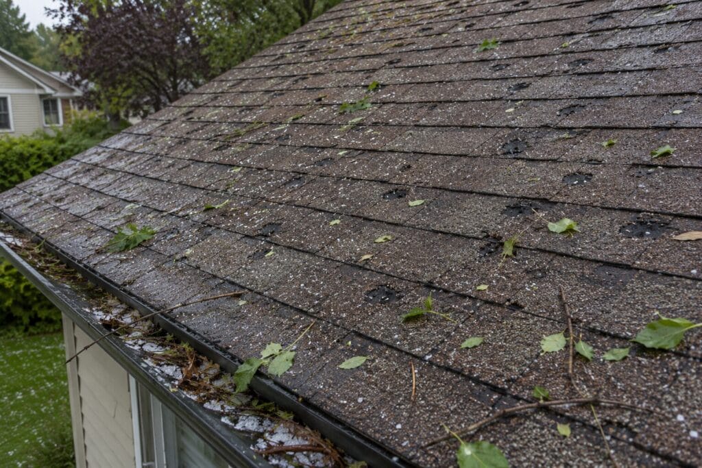 Hail damage on architectural asphalt shingles with leaves and debris scattered across the roof.
